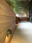 283530_jt_b395bb998d9841cc